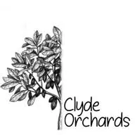 CLydeorchards.co.nz Favicon