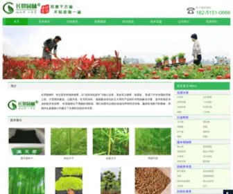 Cmeii.com(绿化公司) Screenshot