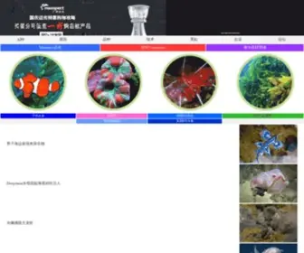 Cmfish.com(中国海水观赏鱼网站) Screenshot