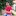 Cmkaushik.in Favicon