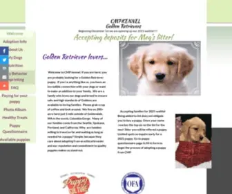 CMpkennel.com(Golden Retrievers) Screenshot