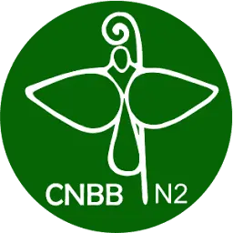 CNBBN2.com.br Favicon