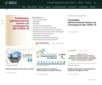 CNBV.gob.mx(Gobierno) Screenshot