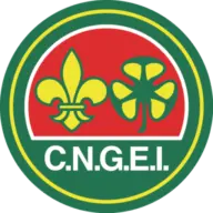 Cngei.it Logo
