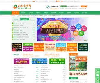 CNHMSQ.com(花木商情网) Screenshot