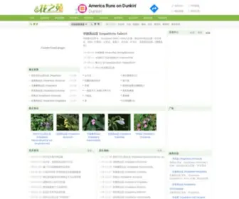 Cnhua.net(花卉图片) Screenshot