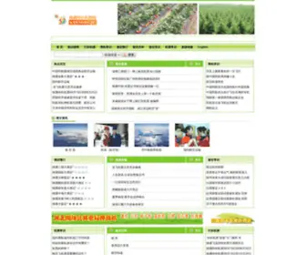 Cnleiwang.com(南通特价机票网) Screenshot