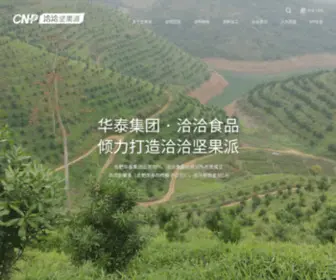 CNP-CNP.cn(坚果派农业有限公司) Screenshot