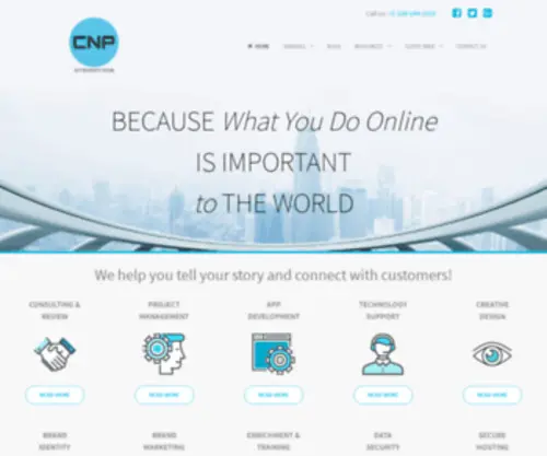 CNpsupport.com(DISS CRM Business Portal) Screenshot