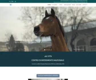 Cnranire.com(ANIRE CNRAFA) Screenshot