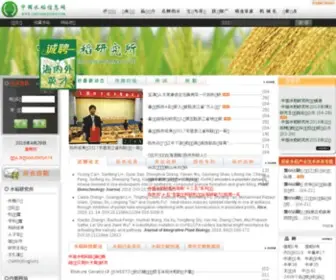 CNrri.org(中国水稻信息网) Screenshot