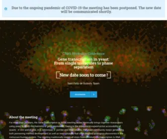 CNRS-Workshop-Yeast-Transcription.org(CNRS Workshop) Screenshot