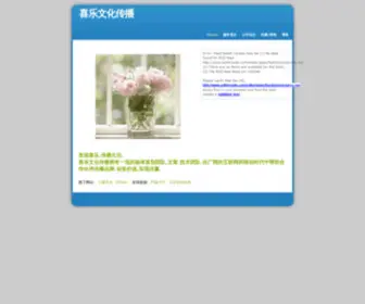 Cnxile.com(喜乐文化传播) Screenshot