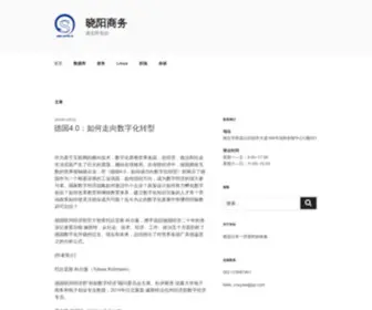 CNXYSW.com(企业信息化) Screenshot