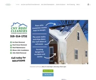 CNyroofcleaning.com(CNY Roof Cleaning) Screenshot