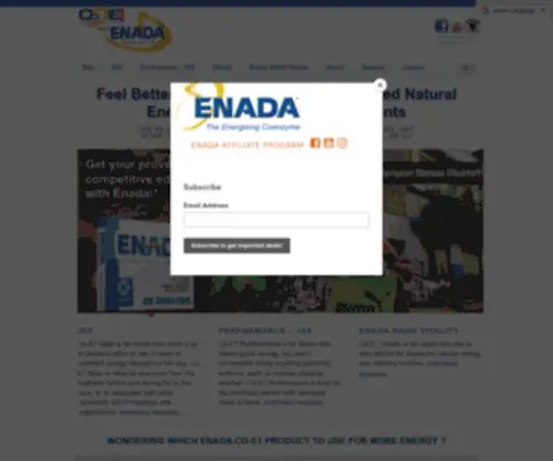 CO-E1.com(Enada) Screenshot