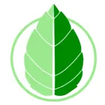 CO-Menta.cl Favicon