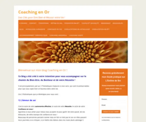 Coaching-EN-Or.com(Accueil) Screenshot