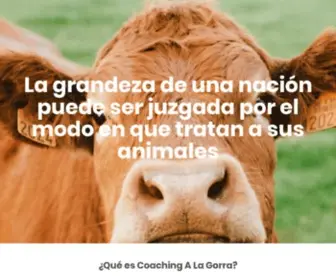 Coachingalagorra.com(Actvismo Social) Screenshot