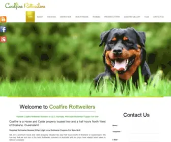 Coalfirerottweilers.com(Rottweiler Puppies For Sale) Screenshot