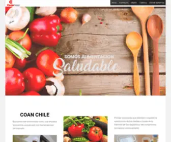 Coanchile.cl(Coanchile) Screenshot