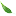 Coastlinetree.com Favicon