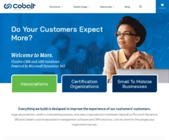 Cobalt.net(Custom CRM Software Solutions for Dynamic Organizations) Screenshot