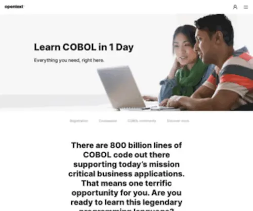 Cobol.com(Visual COBOL) Screenshot