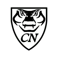 Cobra-CN.de Logo