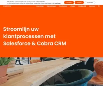 Cobracrm.nl(Salesforce CRM) Screenshot