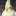 Cockatielsaspets.com Favicon