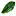 Cocobalicoffee.com Favicon