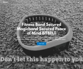 Coconutsspi.com(Bitbelt, Safety Clasps, Disney Vacation Insurance) Screenshot