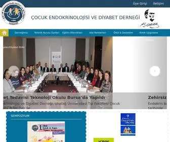 Cocukendokrindiyabet.org(Çocuk) Screenshot