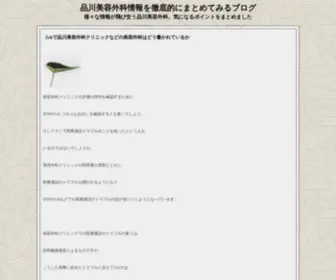 Cod4-Aimbot.com(品川美容外科情報を徹底的にまとめてみるブログ) Screenshot