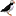 Codecolony.com Favicon