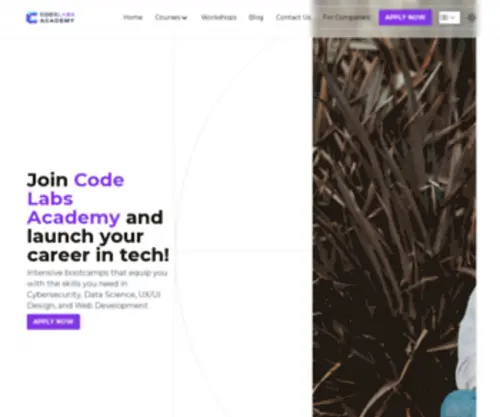 Codelabsacademy.com(Codelabsacademy) Screenshot