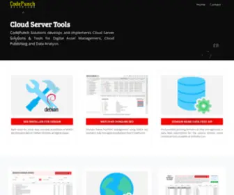 Codepunch.com(CodePunch Solutions) Screenshot