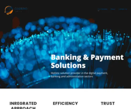 Coderogroup.com(Banking & Payment Solutions) Screenshot