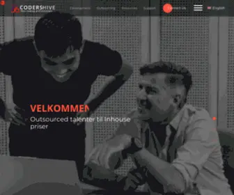 Coders-Hive.com(Professional Software Development) Screenshot