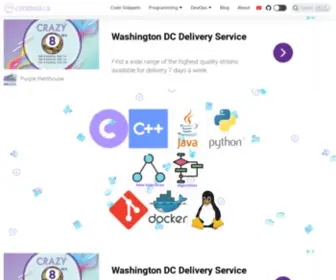 Codeskulls.com(Code Like a Pro) Screenshot