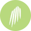 Codina.com Logo
