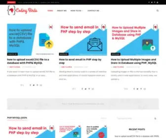 Codingbirdsonline.com(Coding Birds) Screenshot