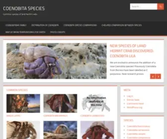 Coenobitaspecies.com(Common species of land hermit crabs) Screenshot