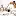 Coffee-For-Two.com Favicon