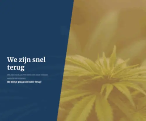 Coffeeshopsinfo.nl(We zijn snel terug) Screenshot