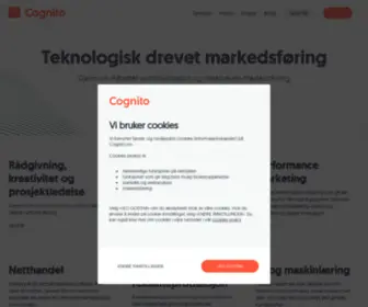 Cognito.no( Vi utvikler intelligent kunde­dialog satt i system) Screenshot