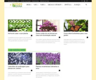 Coisasdaterra.com(Coisas da Terra) Screenshot