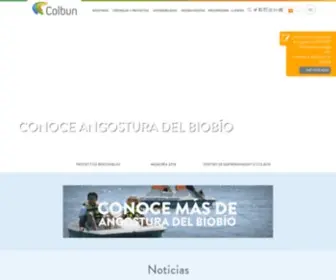 Colbun.cl(Colbún) Screenshot