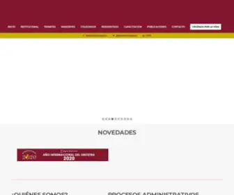 Colegiodeobstetras.pe(Nueva Web Oficial del Colegio de Obstetras del Perú) Screenshot